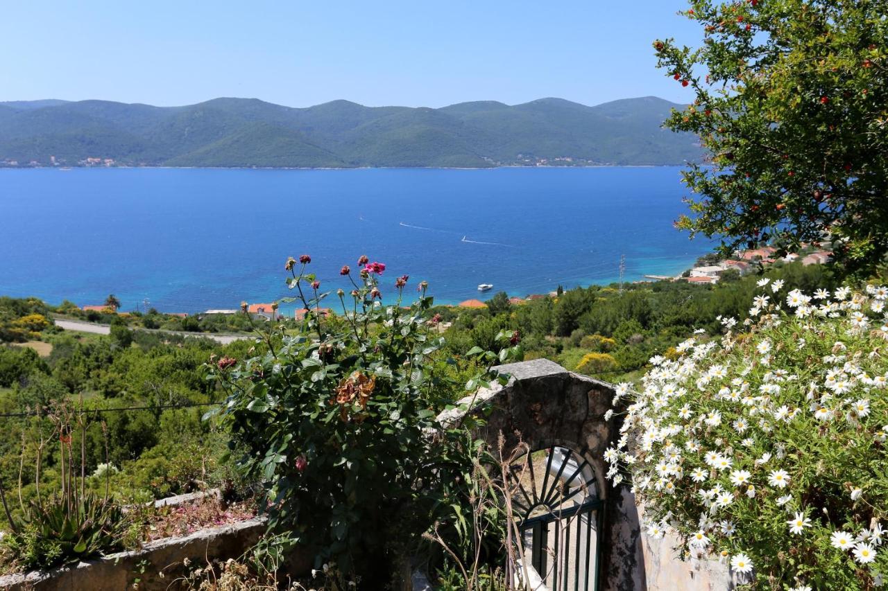 Holiday House With A Parking Space Viganj - Podac, Peljesac - 10141 Dış mekan fotoğraf